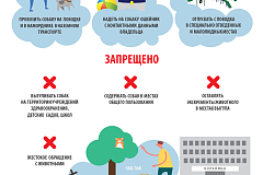 Правила содержания и выгула собак